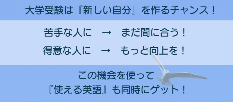 上級コースの宣伝